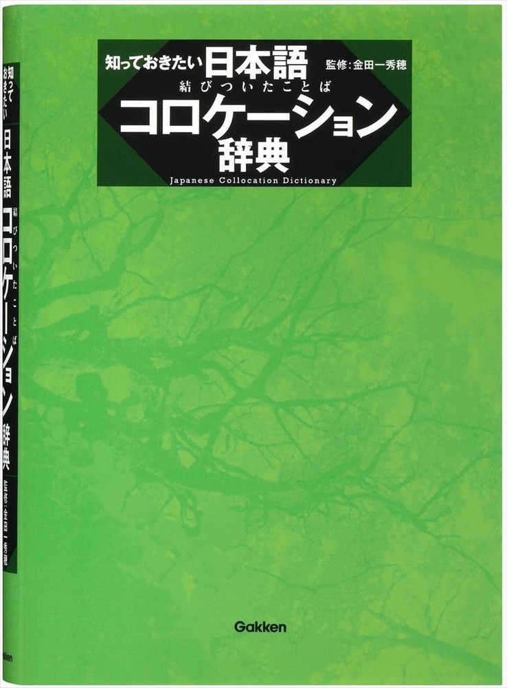 CASIO EX-word DATAPLUS7 XD-N10000 Electronic Dictionary