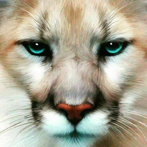 Beautiful Cougar - Chart Needlework DIY - Counted Cross Stitch Patterns