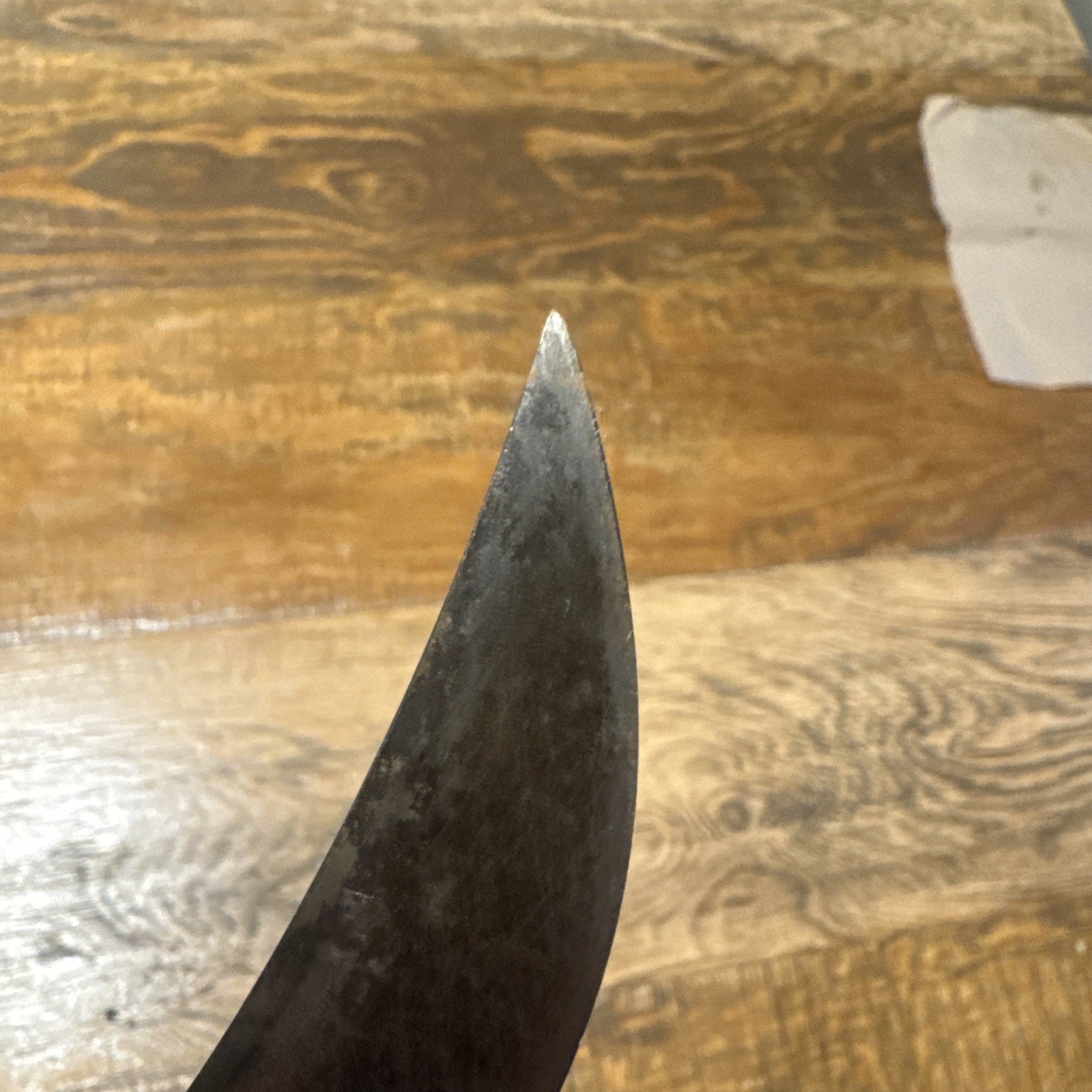 Schrade USA 498 Fixed Blade Hunting Knife