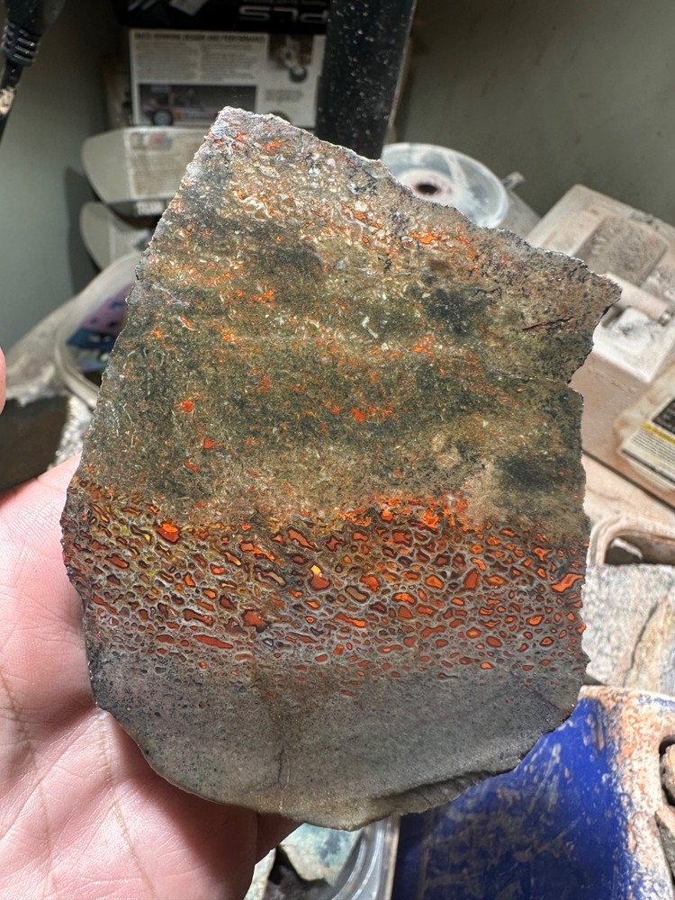 Dinosaur bone rough chunk. (344.7 grams)