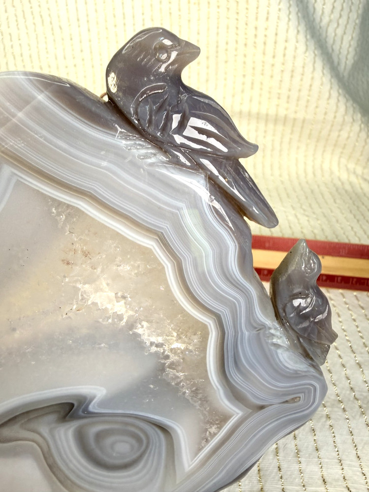 Blue Lace Bird Carving Slab