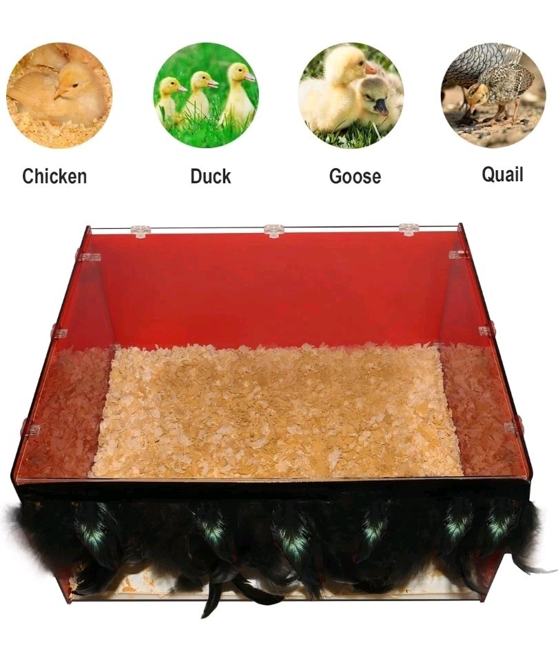 Chicken Brooder Box for Chicks, Revamped Chick Brooder Heater with Adjustable Te