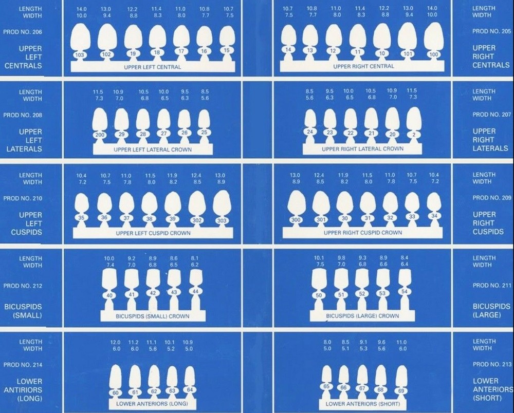 Tooth #4,13,20 or 29 Second Premolar Bicuspids Large Polycarbonate Crown Refill