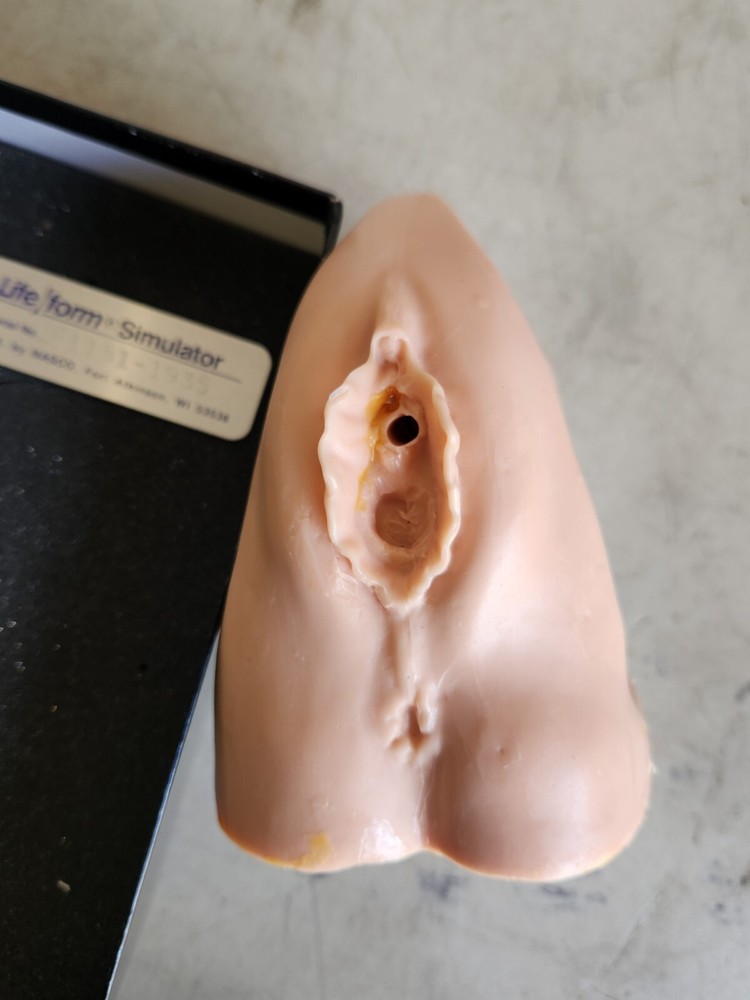 Nasco Life/Form LF01151 Vaginal Simulator