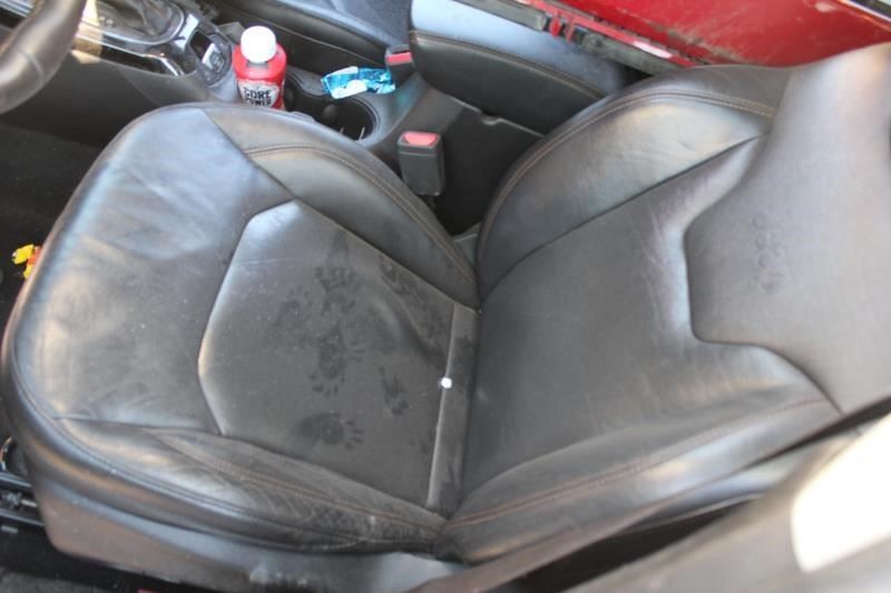 COMPASNEW 2017 Camera/Projector 553509