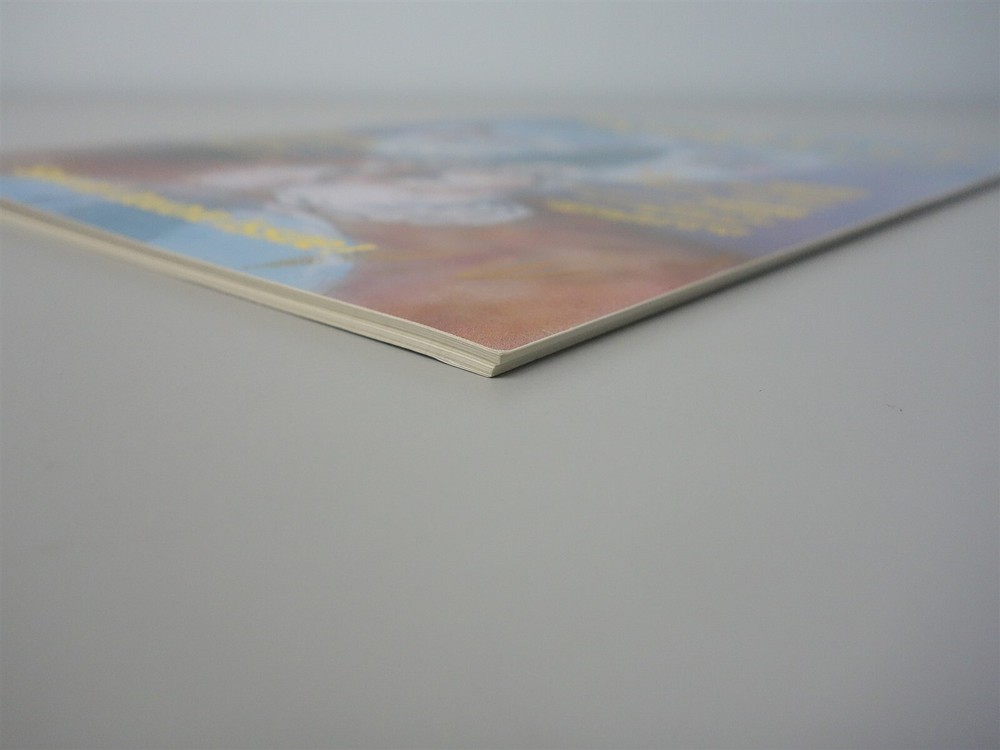 Sorcerer's Apprentice: Issue #9/10