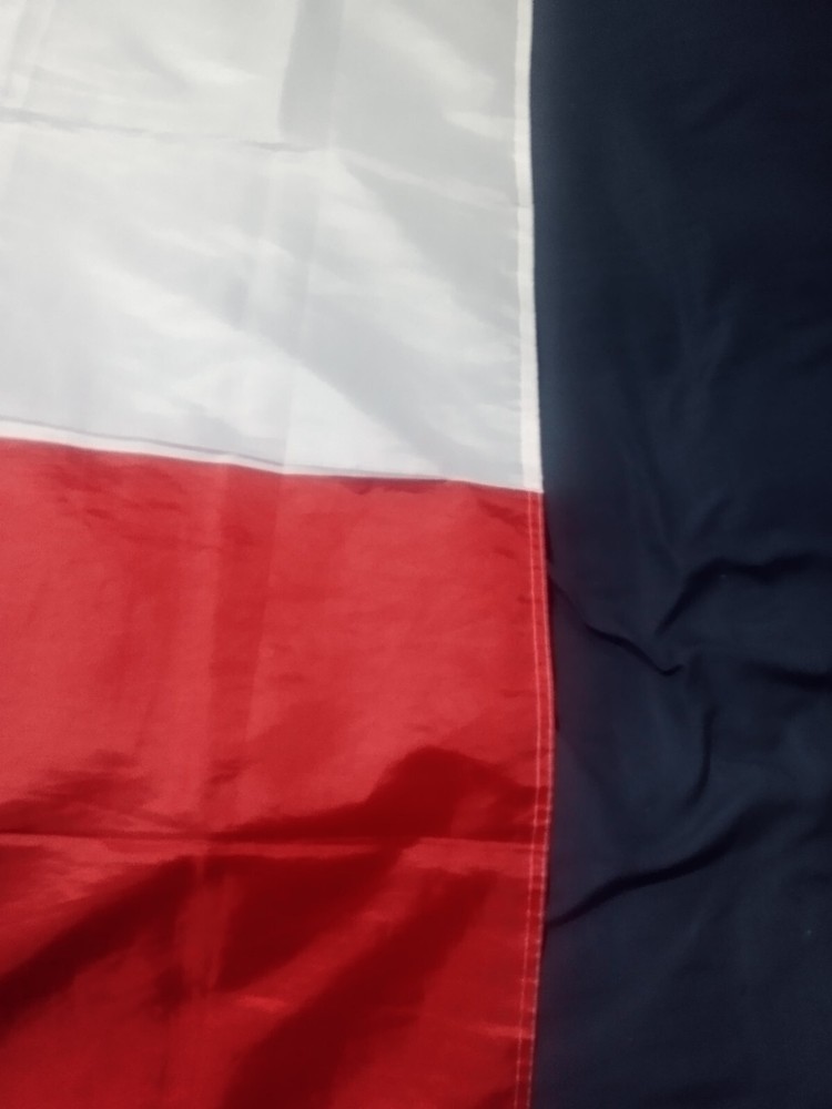 Texas State Flag