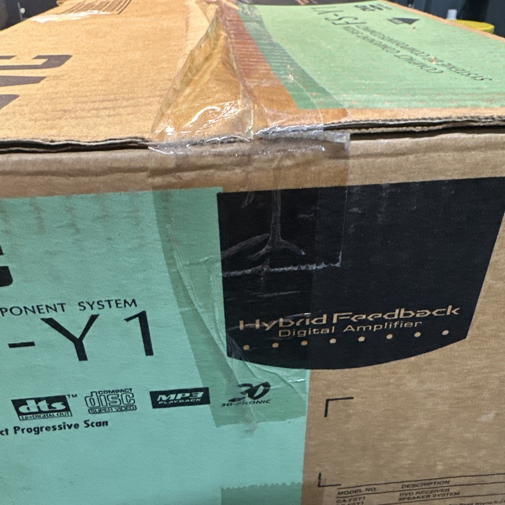 JVC FS-Y1 DVD Audio/Video Compact Component System