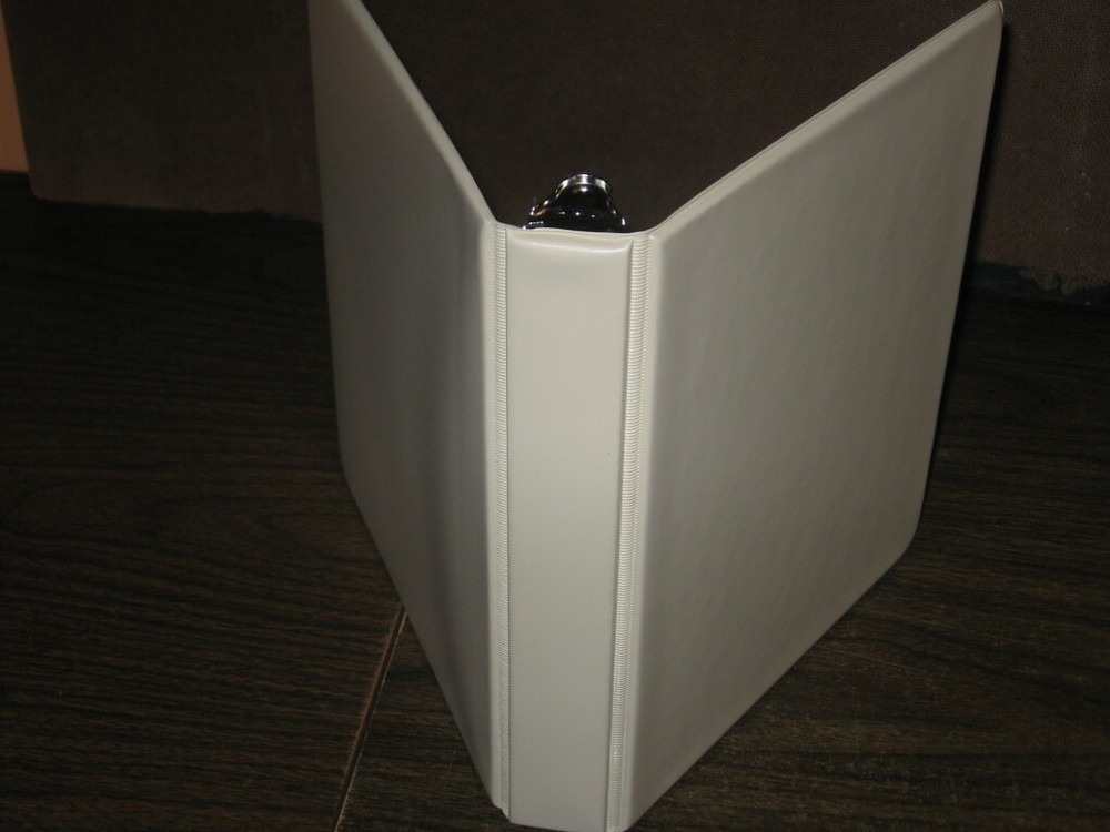 100 Glassine Stock Pages Ivory Album Binder Display US Stamp Plate Blocks