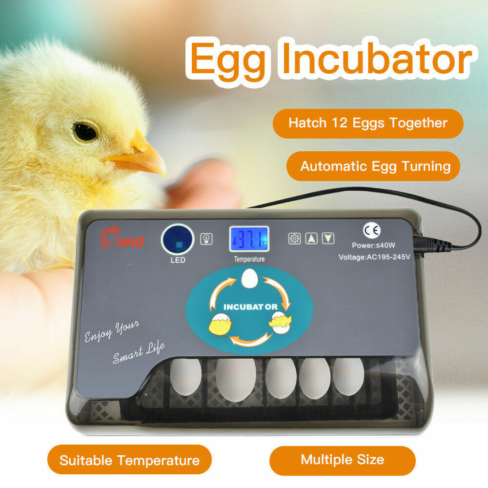 Incubator Automatic Digital Hatching 12 Eggs Mini Machine For Quail Chick Bird