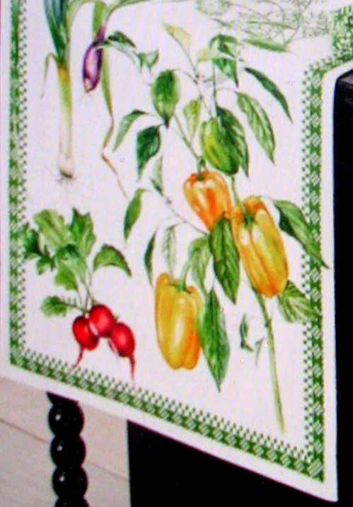 WILLIAMS SONOMA VEGETABLE TABLE RUNNER TWILL WEAVE COTTON 16X108 REVERSIBLE NWTG