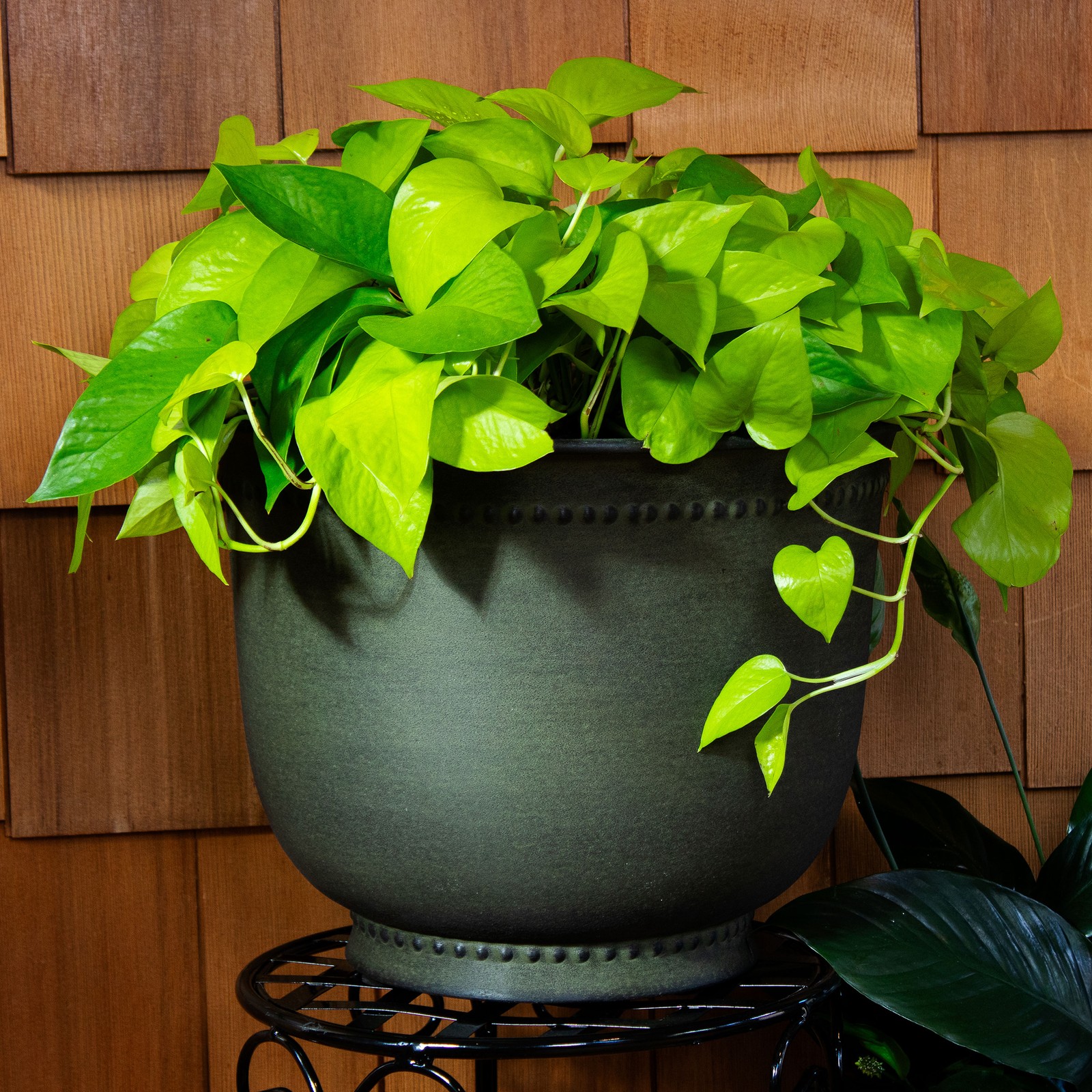 Michael Metal Planter - 14.5 in - Matte Sage - Set of 4 by Sunnydaze