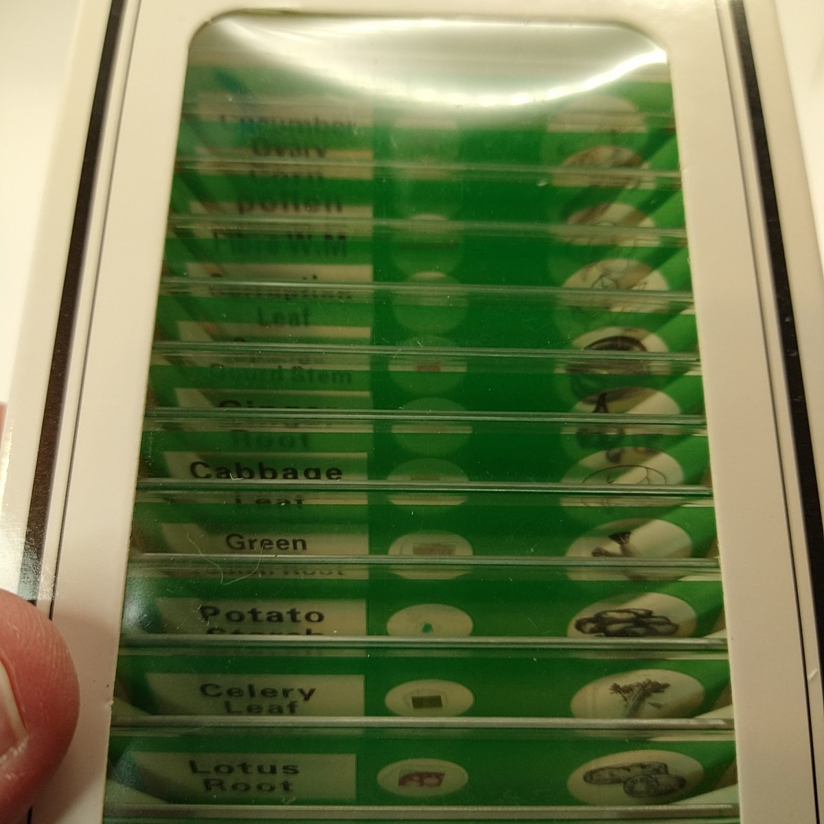 48Pcs Prepared Microscope Slides Specimen Animals Insects Plants Flowers Sample