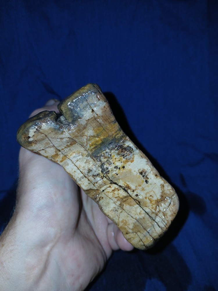 30 oz Petrified Wood