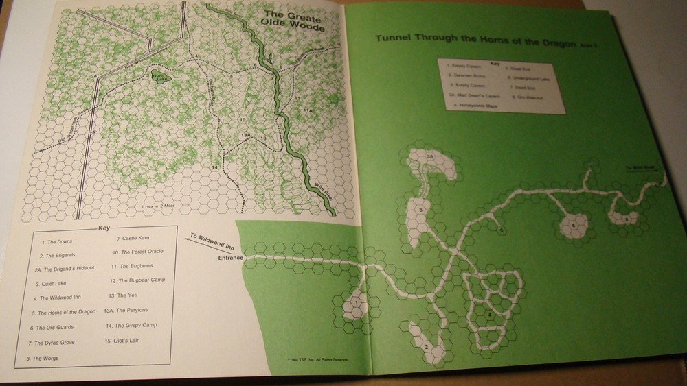 MODULE - N2 - THE FOREST ORACLE *HIGH GRADE* DUNGEONS & DRAGONS ORIGINAL