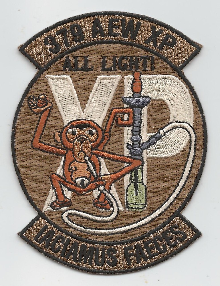 379th AIR EXPEDITIONARY WING XP "ALL LIGHT" desert patch