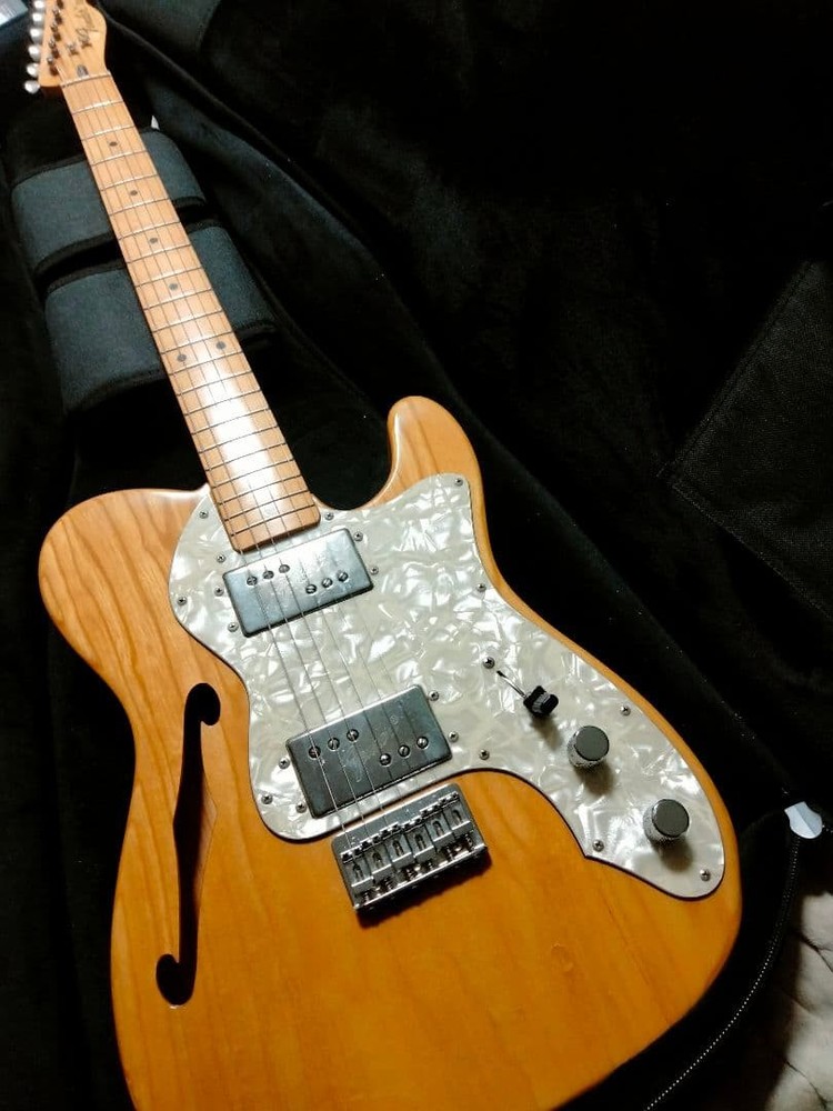 E Serial Fender Japan Thinline Telecaster