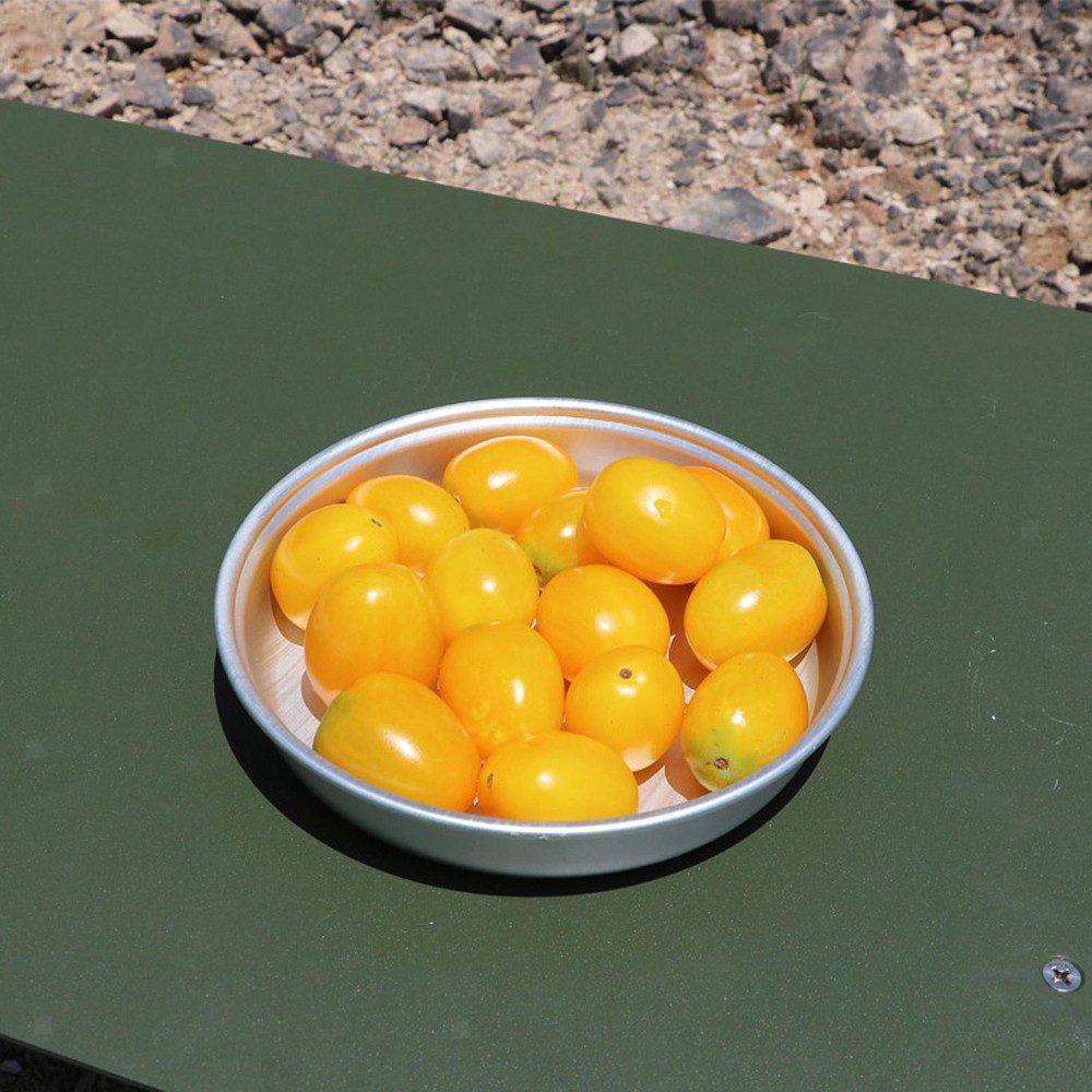 2x Camping Plates Serving Plates Camping Dish Accessories Versatile Lightweight