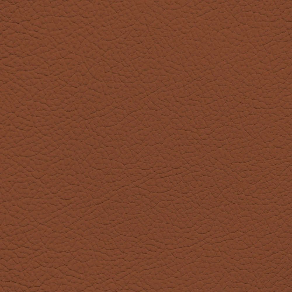 Audi Cork Leather Dye