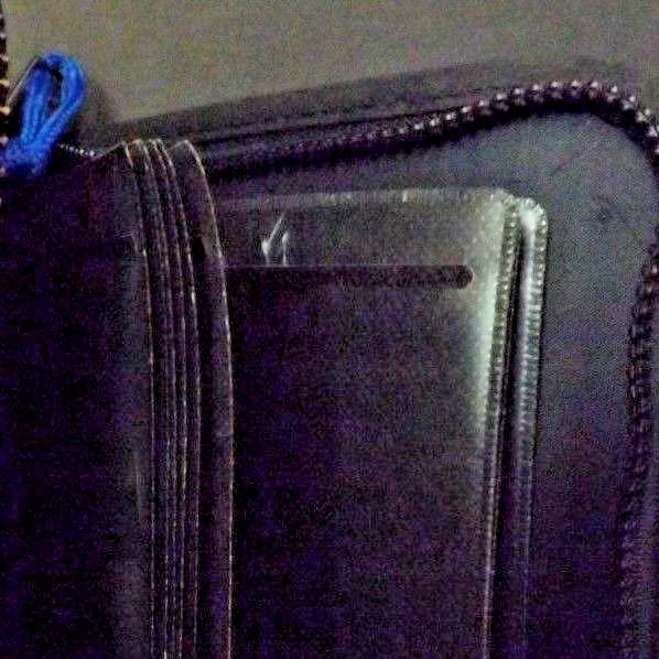 CD Carry Case in Blue and Black