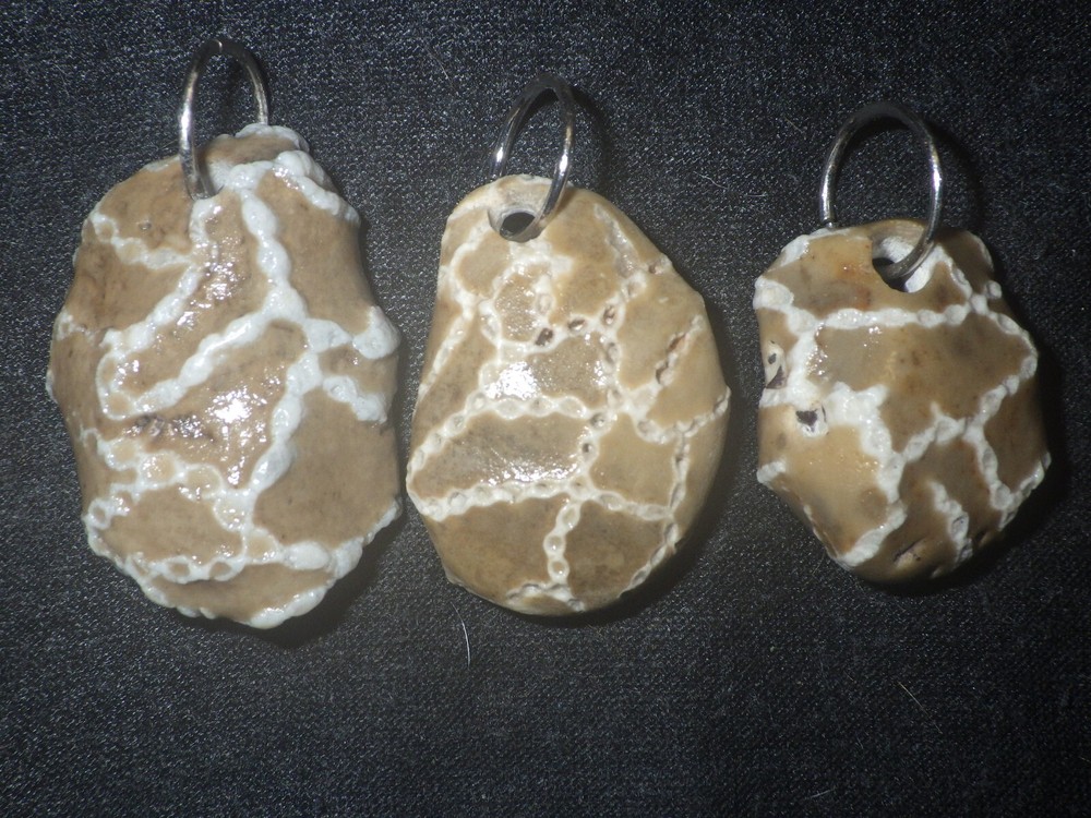 Chain Coral Halysites Pendants