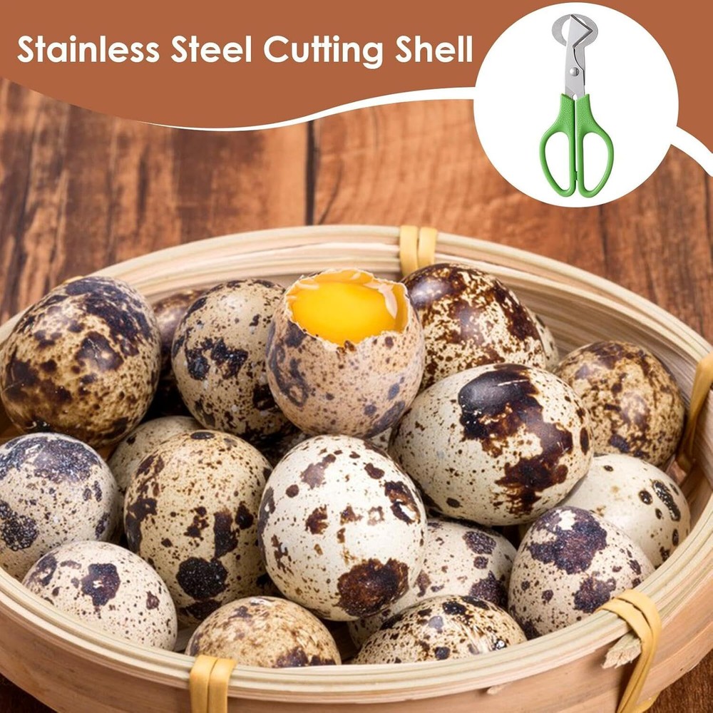 2Pcs Quail Egg Roast egg scissors Cutter Scissors Kitchen Egg Shears Tool(Green)