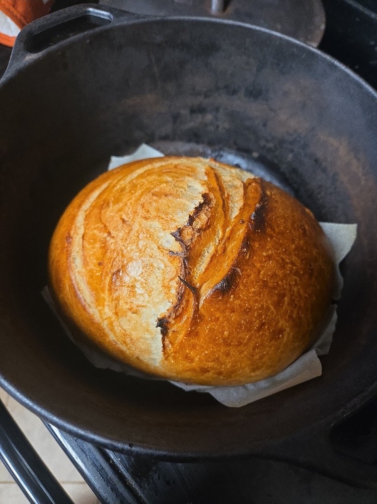 dehydrated sourdough starter