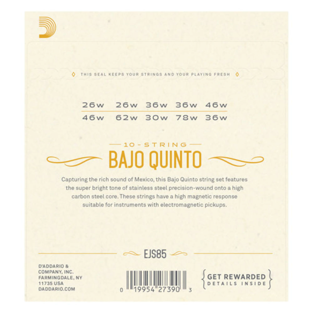 D'Addario EJS85 Bajo Quinto Stainless Steel Set 10 String