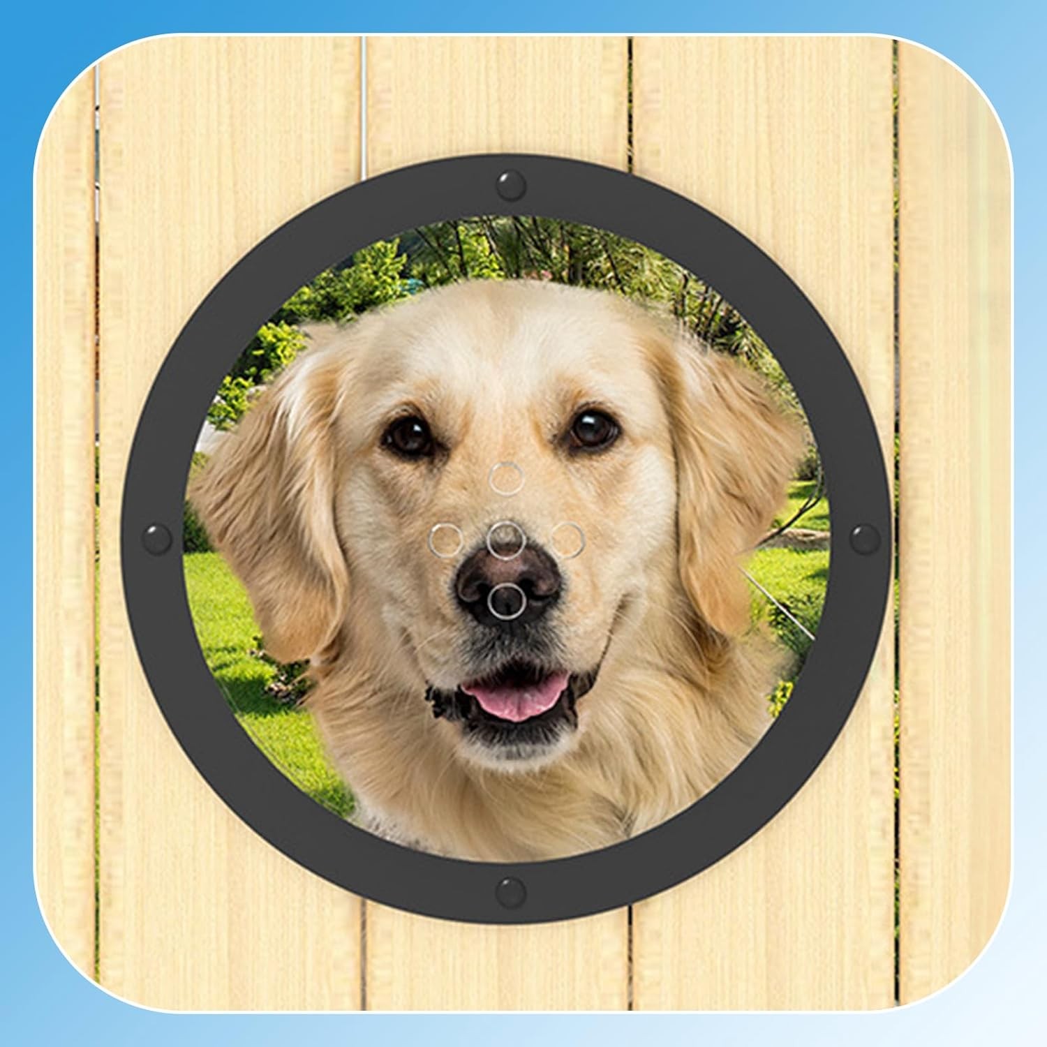 2 Pack Dog Fence Window with Air Holes Clear Pet Bubble View Dome Door Peek S...