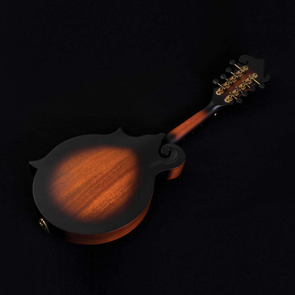 Washburn M108S - Mandolin