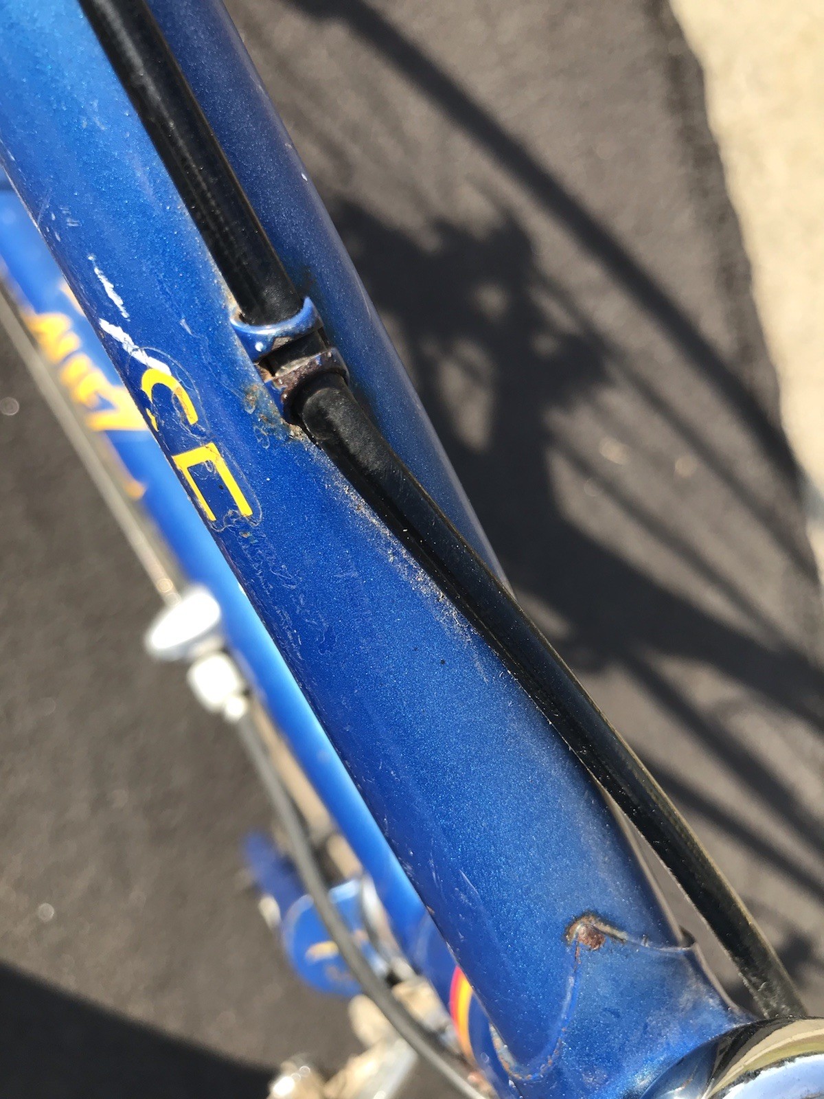 Vintage Specialized Allez SE Jim Merz Edition Lugged Steel Racing Bicycle Bike