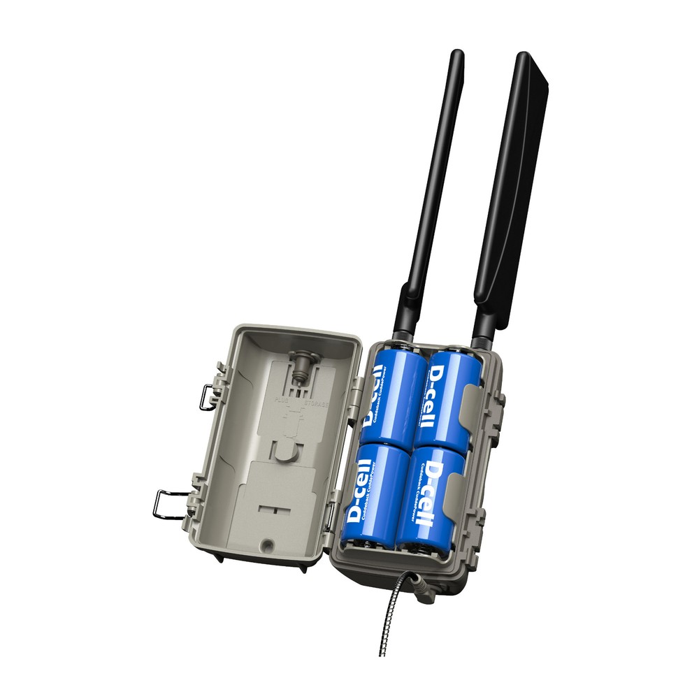 Cuddeback Tracks Low Glow Cell Camera