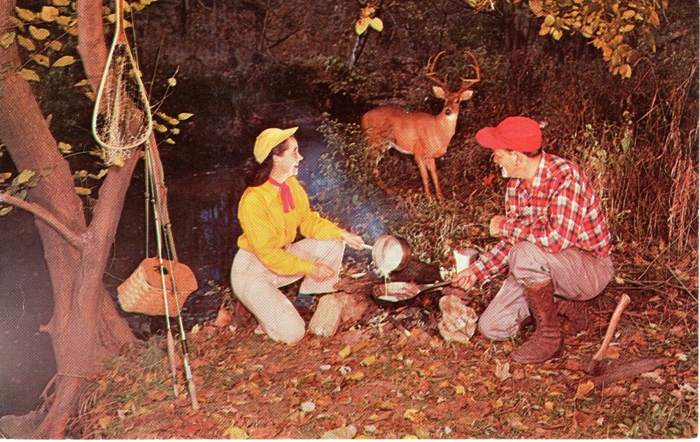 WHITEFISH LODGE, CLEMENT, QUE. - PC6462