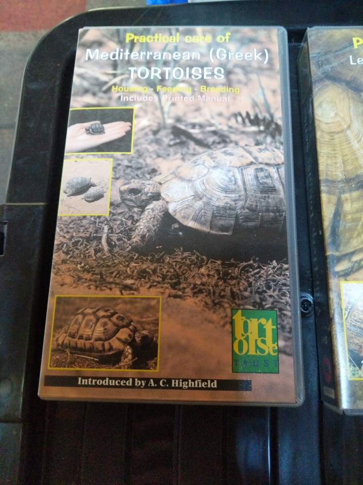 tortoise videos and mouse mat