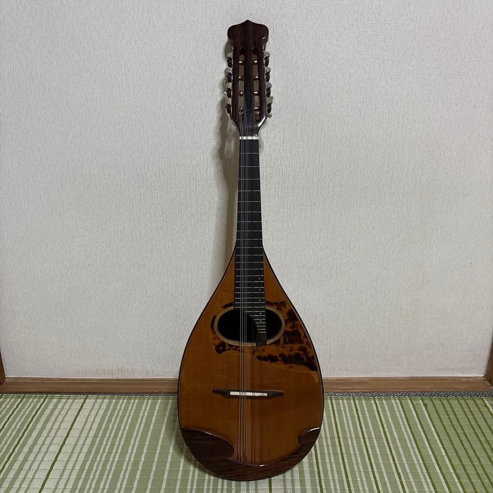 Raffaele Terada Musical Instruments High End Mandolin RM-3 String Guitar