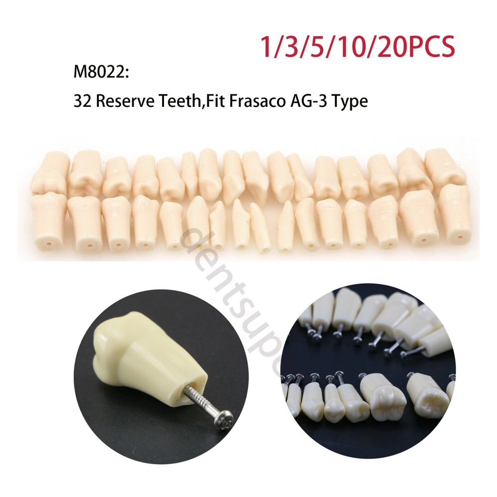 AG3 Type Dental Typodont Replacement 32PCS Screw-in Teeth Model Frasaco M8022