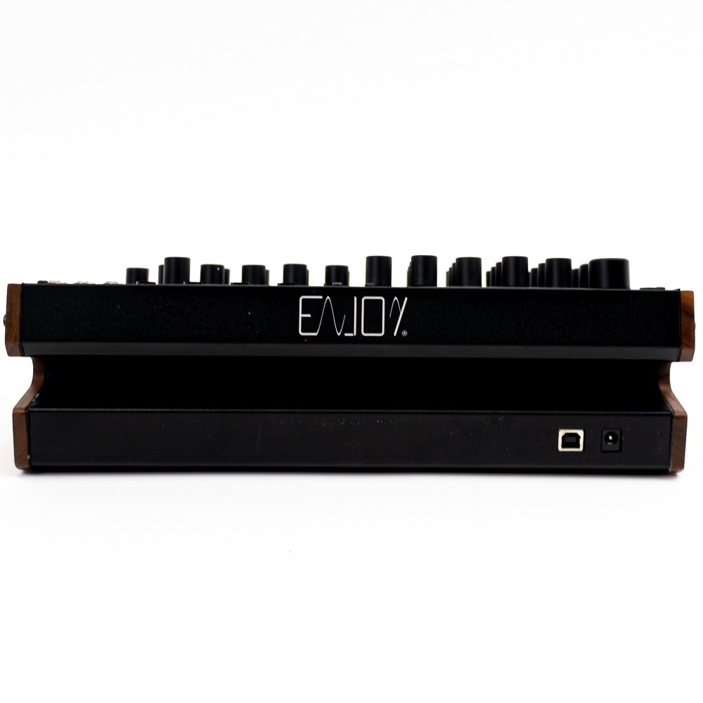 Enjoy Electronics The Godfather Multi-Channel Audio Processor with Power Supply