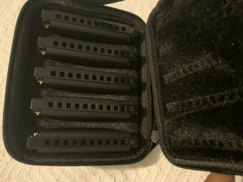 Roadhouse Blues Harmonica Set