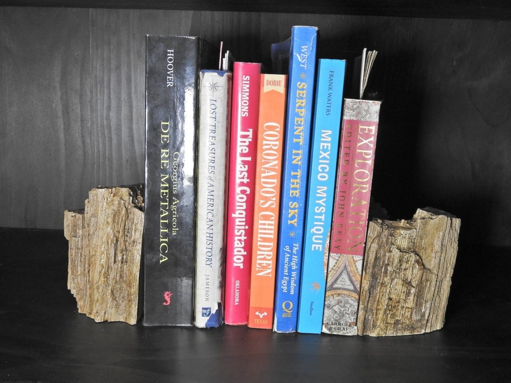 Book Ends Petrified Wood