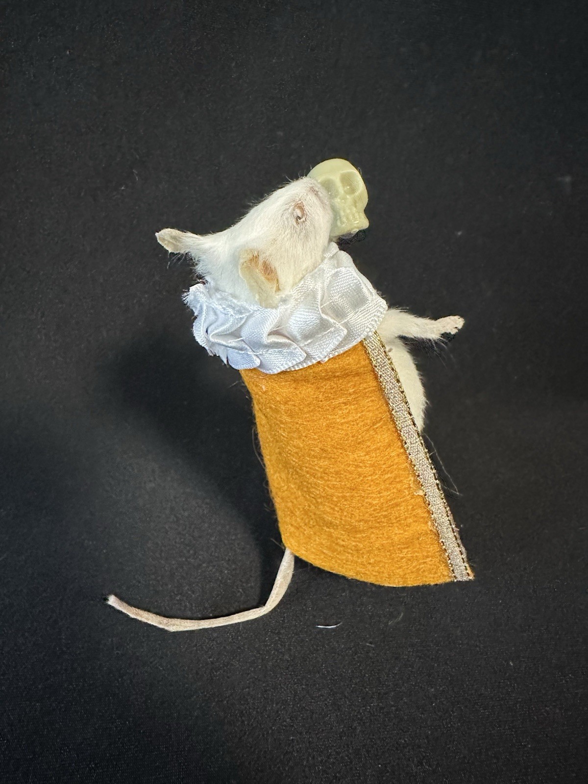 Taxidermy Mouse Hamlet Mouse Oddities Curiosities Taxidermy Art