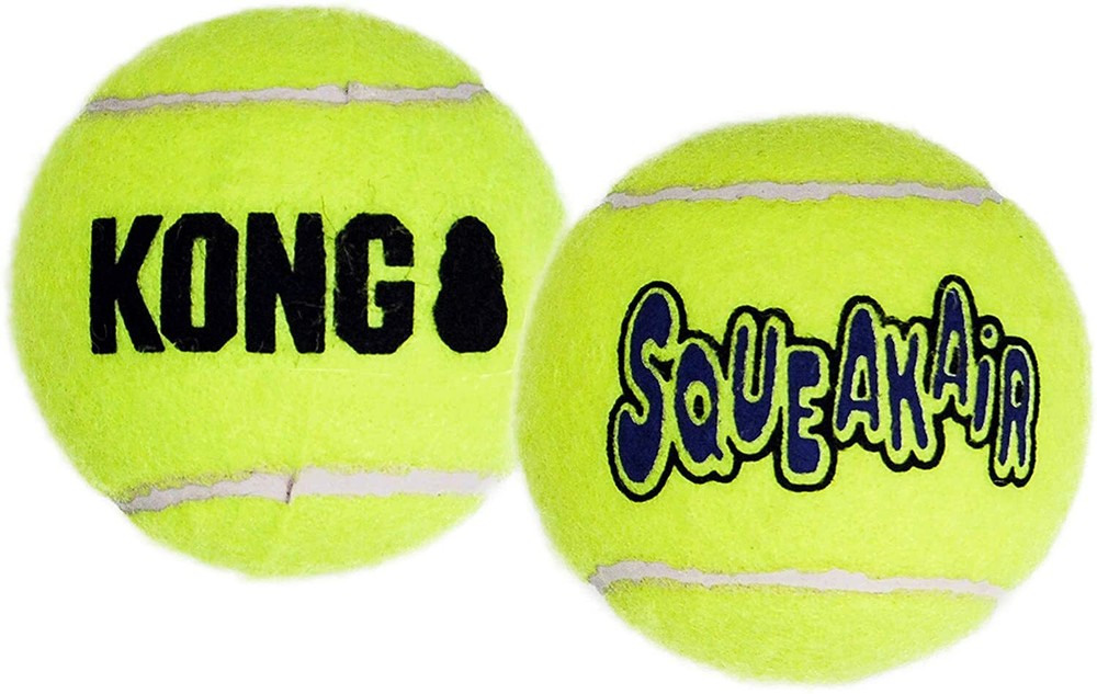 Kong Squeaker 2pk Large