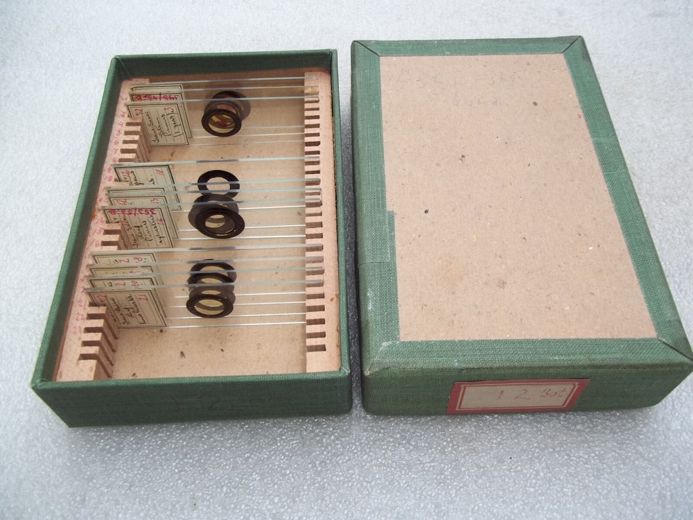 Vintage Glass Microscope Slides -