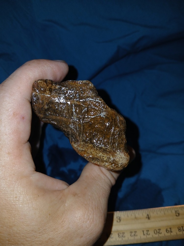 11 oz Petrified Wood