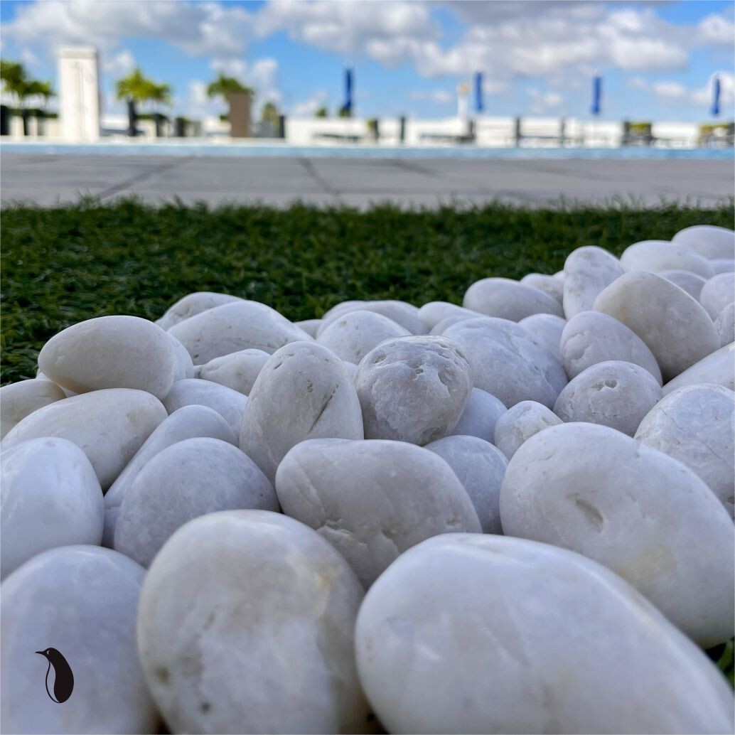 5 lb Decorative White River Rocks Pebbles for Plants Aquarium Stones (1-3")