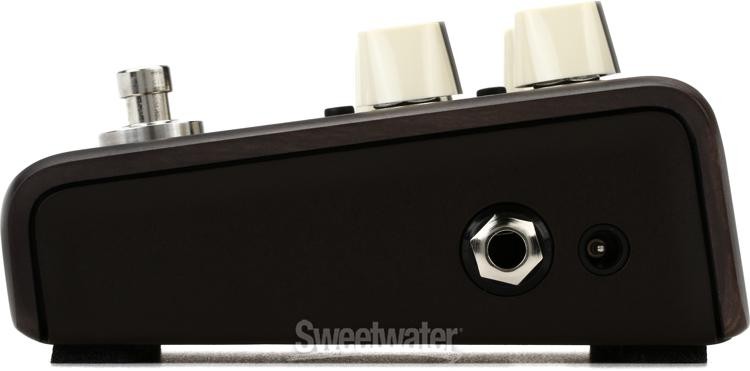 LR Baggs Align Delay Acoustic Delay Pedal