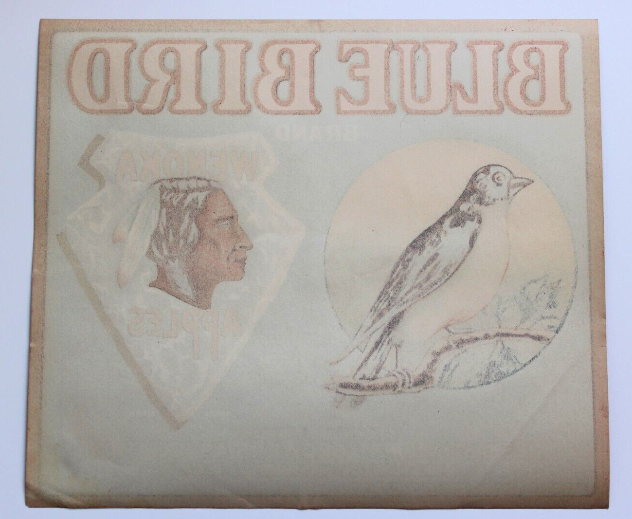 Original BLUE BIRD apple crate label Peshastin Fruit Growers Assn Wenoka