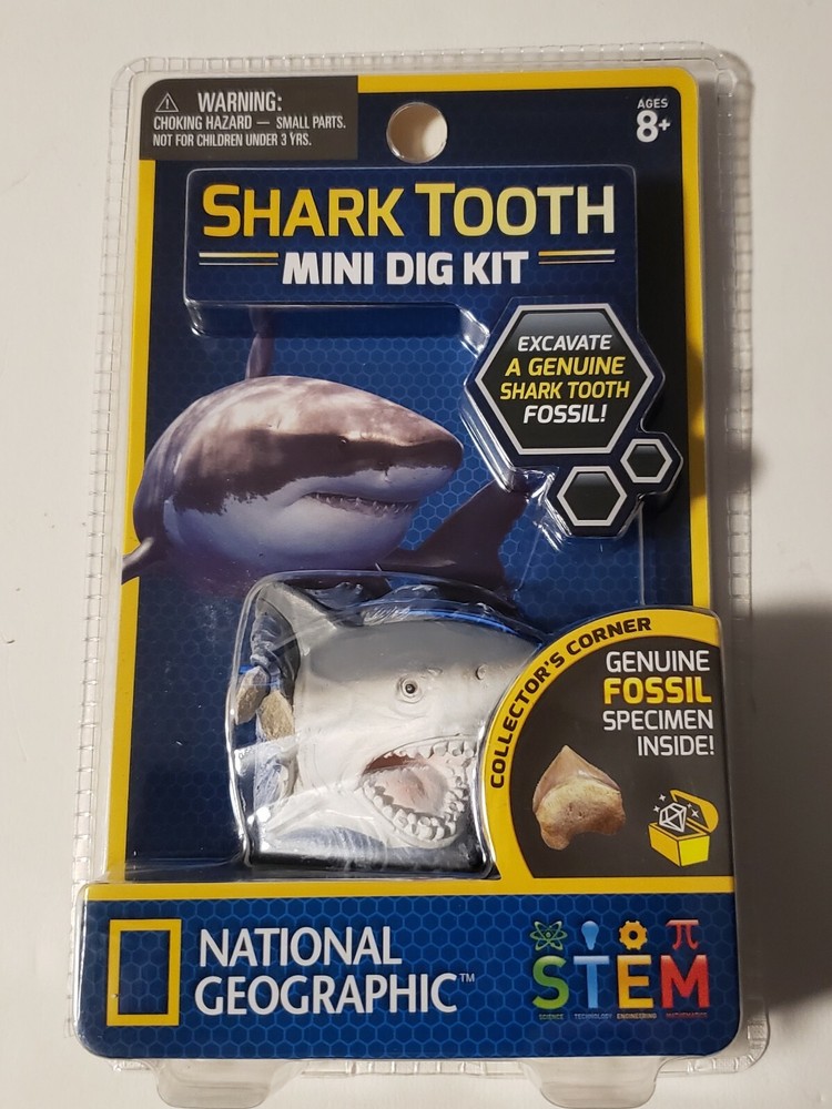 Shark Tooth Mini Dig Kit National Geographic STEM 8 + w/ Digging Tool