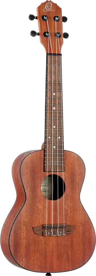 Bonfire Series Concert Ukulele