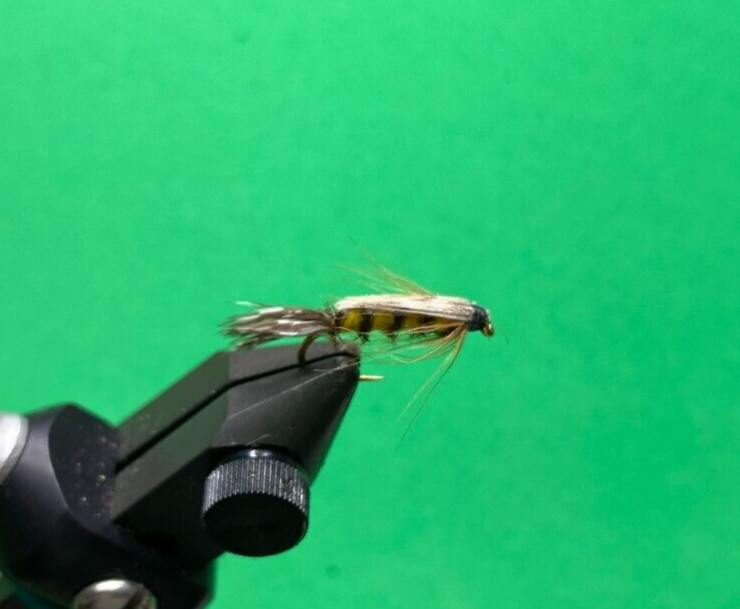 Tellico Nymph: size 12, 12 pcs