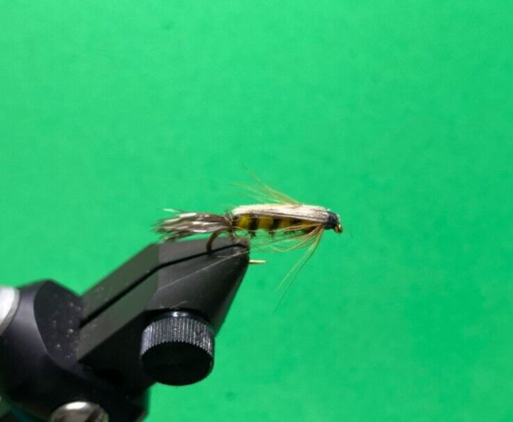 Tellico Nymph: size 12, 12 pcs